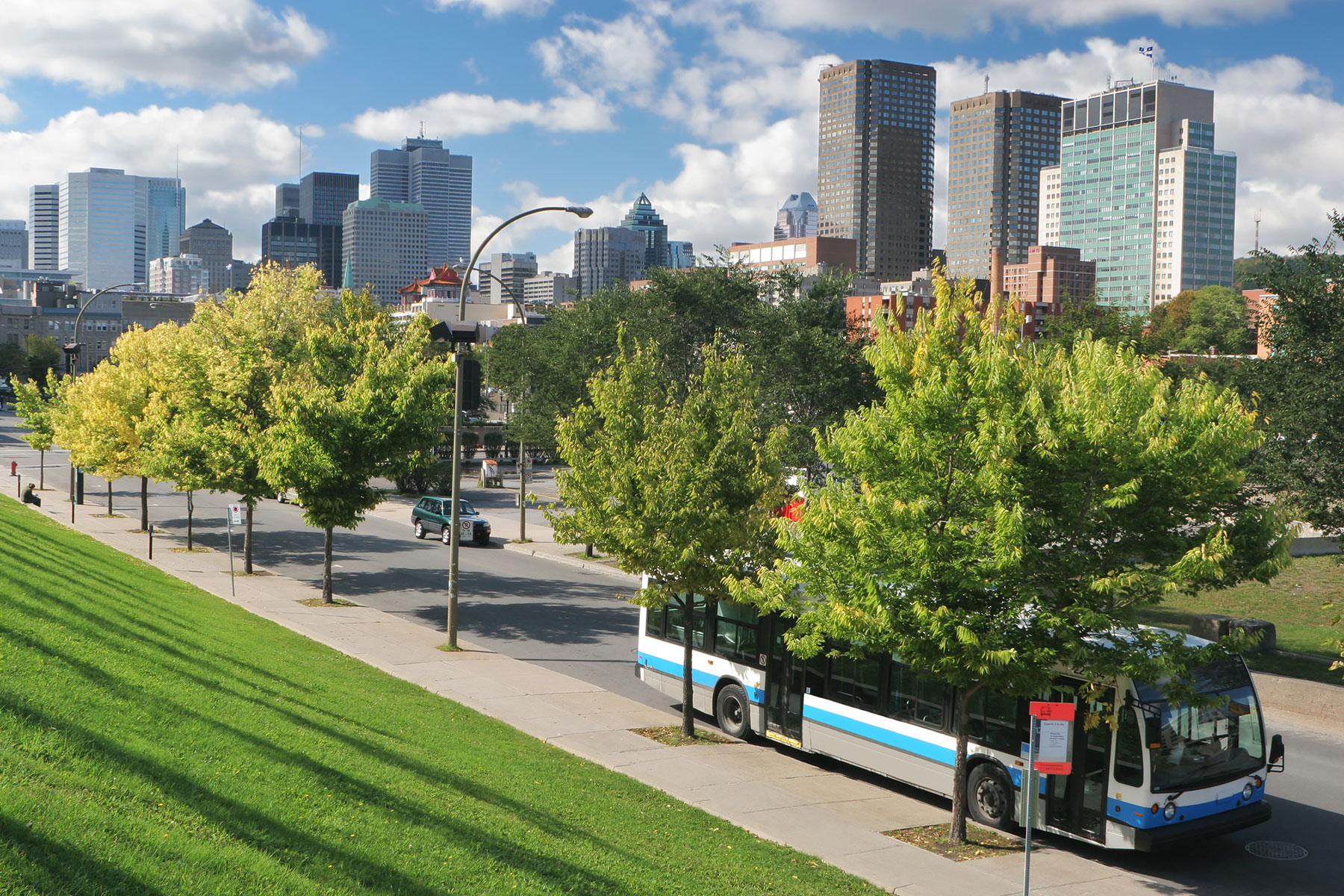 Obtenez la série de répertoires de végétaux en milieux urbains - AQPP