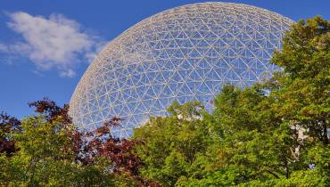 Bienfaits des plantes sur lenvironnement