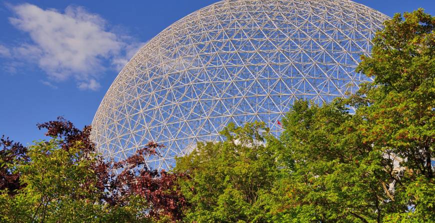 Bienfaits des plantes sur lenvironnement